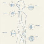 Collagen Cofactor Complex™